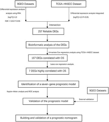 Identification of a Novel Signature Predicting Overall Survival in Head and Neck Squamous Cell Carcinoma